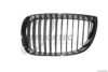 TRUCKTEC AUTOMOTIVE 08.62.199 Radiator Grille